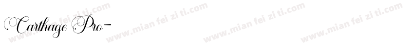 Carthage Pro字体转换